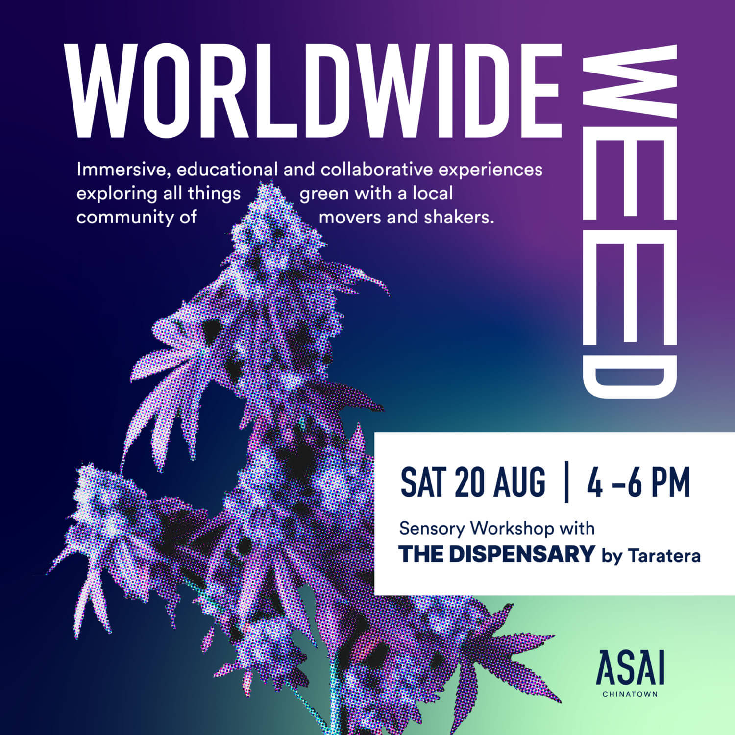 Worldwideweed: Sensory Workshop